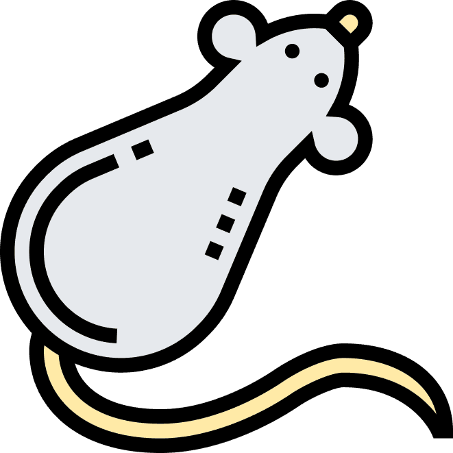 Gnagare