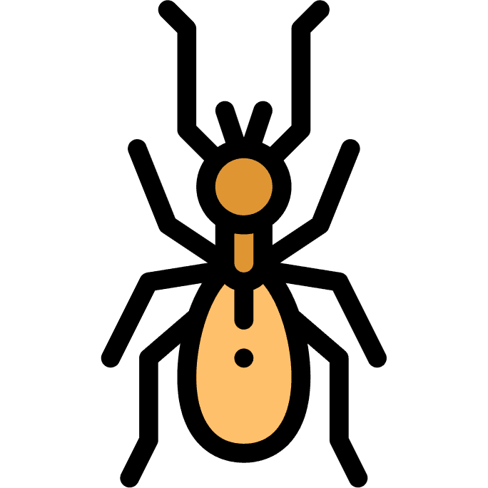 Myror